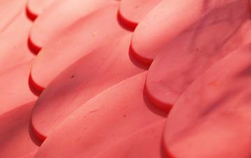 Hopleys Green plastic roof costs