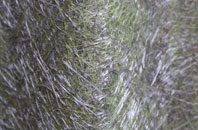 Hopleys Green fibreglass roof work